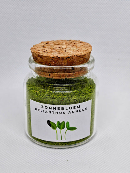 Biologische Zonnebloem Microgreens Boosters